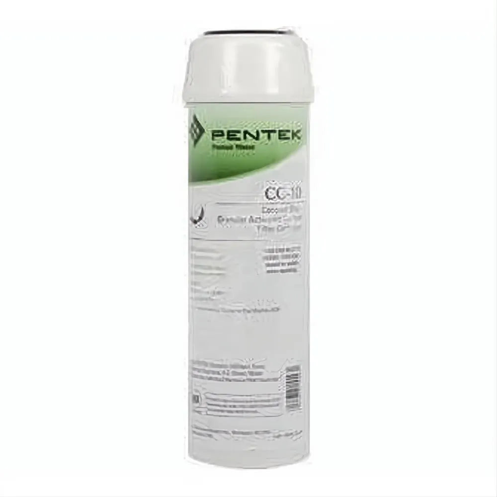 Pentair Water Filter 9-3/4" GAC CC-10 #155155-43