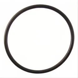 Viqua O Ring for old FB1, FC1, FB2 Series 2 Pack Free Shipping