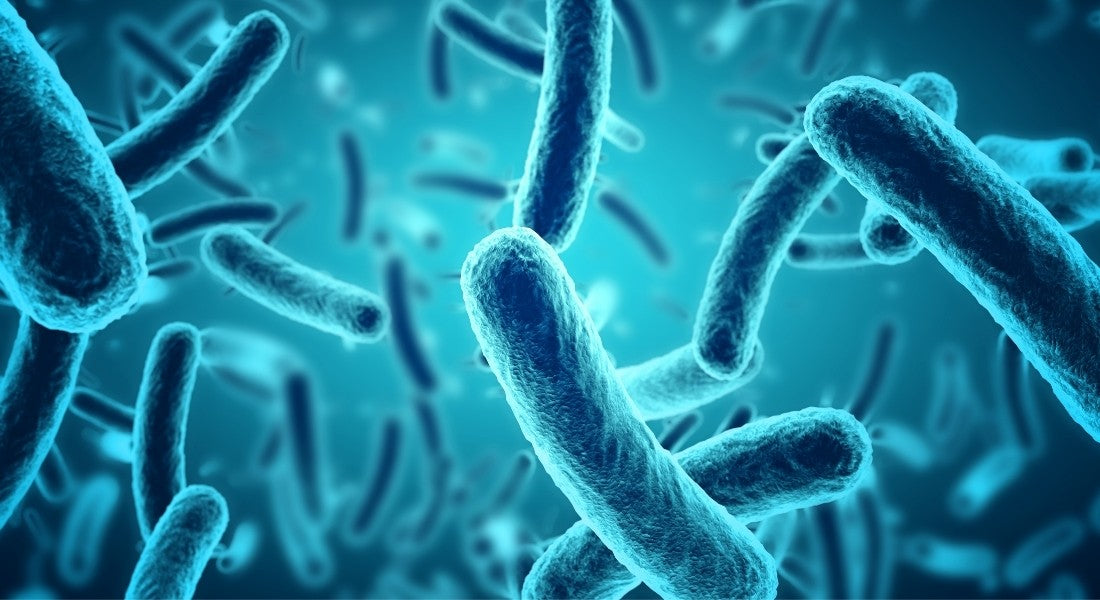 How to Kill Bacteria in Well Water