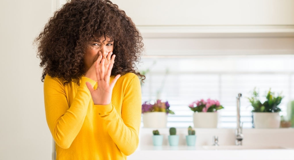 Comment rparer cette odeur d'uf pourri dans votre eau | Boutique en ligne  sur l'eau