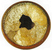 Is hard water clogging your pipes? | The Water Filter Estore