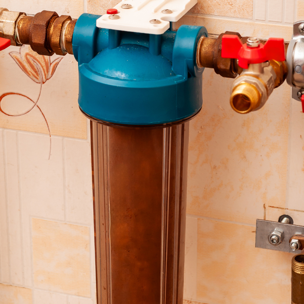 Sediment Filter 2025