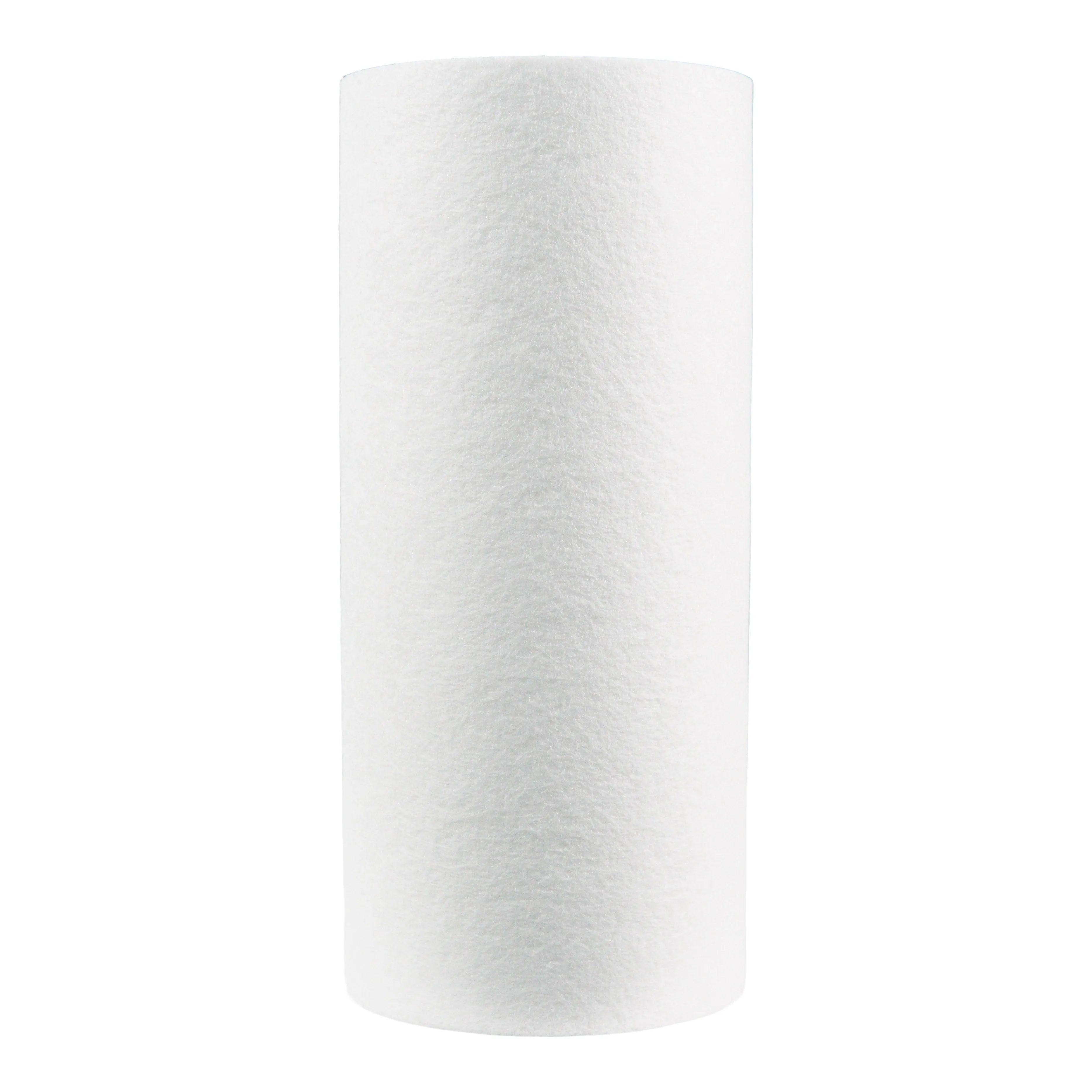 Pentair 10" BB Sédiment DGD-5005 #155357-43 Navire gratuit