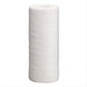 Pentair 10" BB Sediment DGD-7525 #155355-43