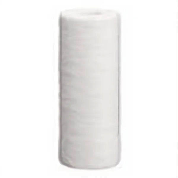 Pentair 10" BB Sediment DGD-7525 #155355-43