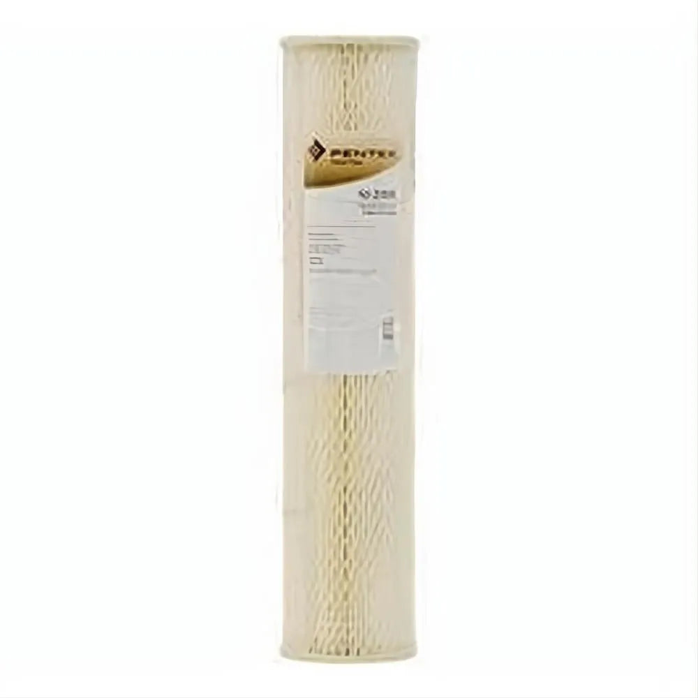 Pentair 20" BB Sediment S1-20BB #155305-43