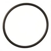 Viqua OR-8 O-Ring for Filter Housings – Discontinued Clearance (Limited Stock)
