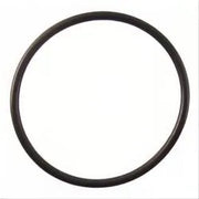 Viqua O Ring for old FB1, FC1, FB2 Series 2 Pack Free Shipping