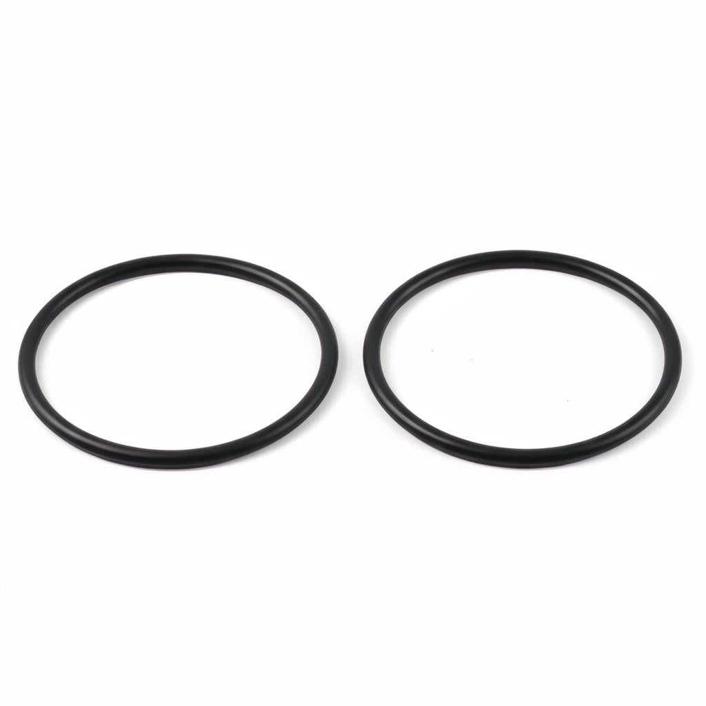 Viqua Replacement O-Rings (2 Pack) OR40-50