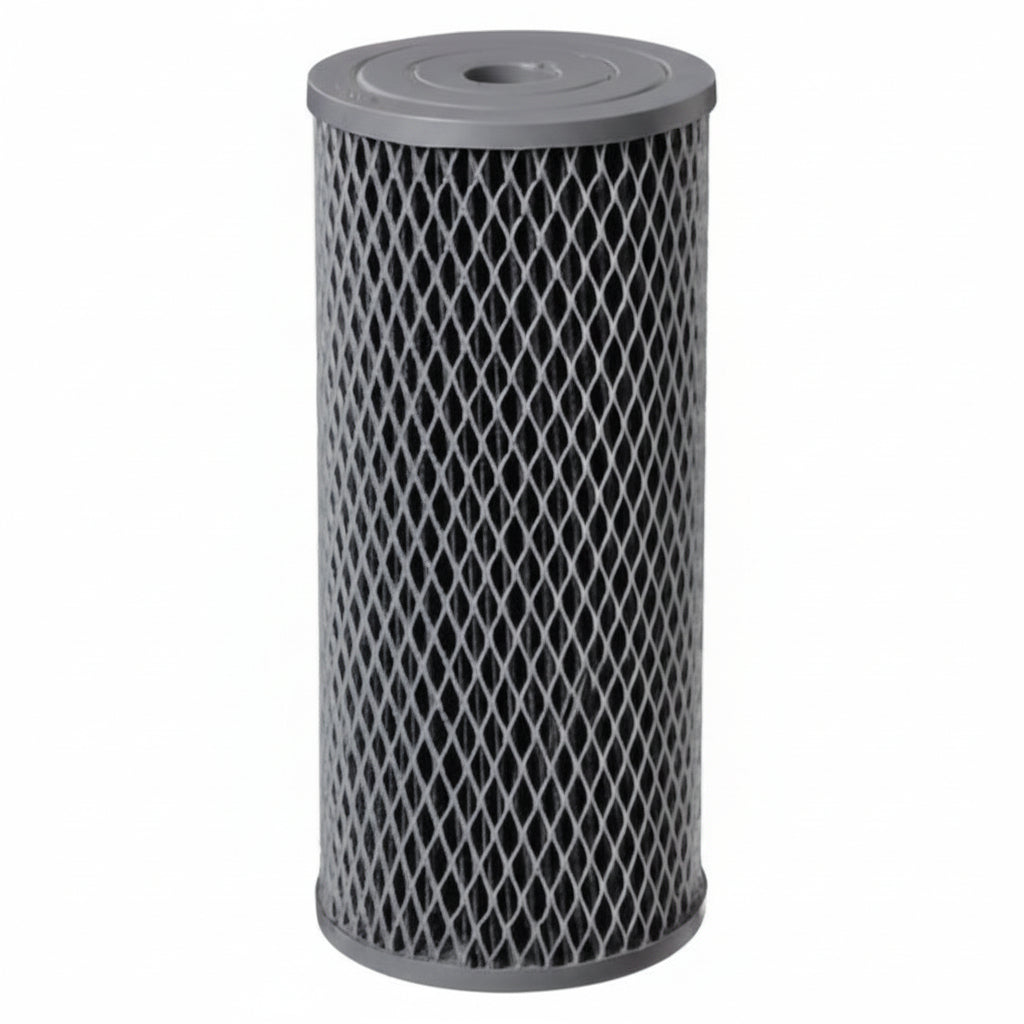 Pentair 10" BB 10 M NCP-BB #155398-43 Free Ship