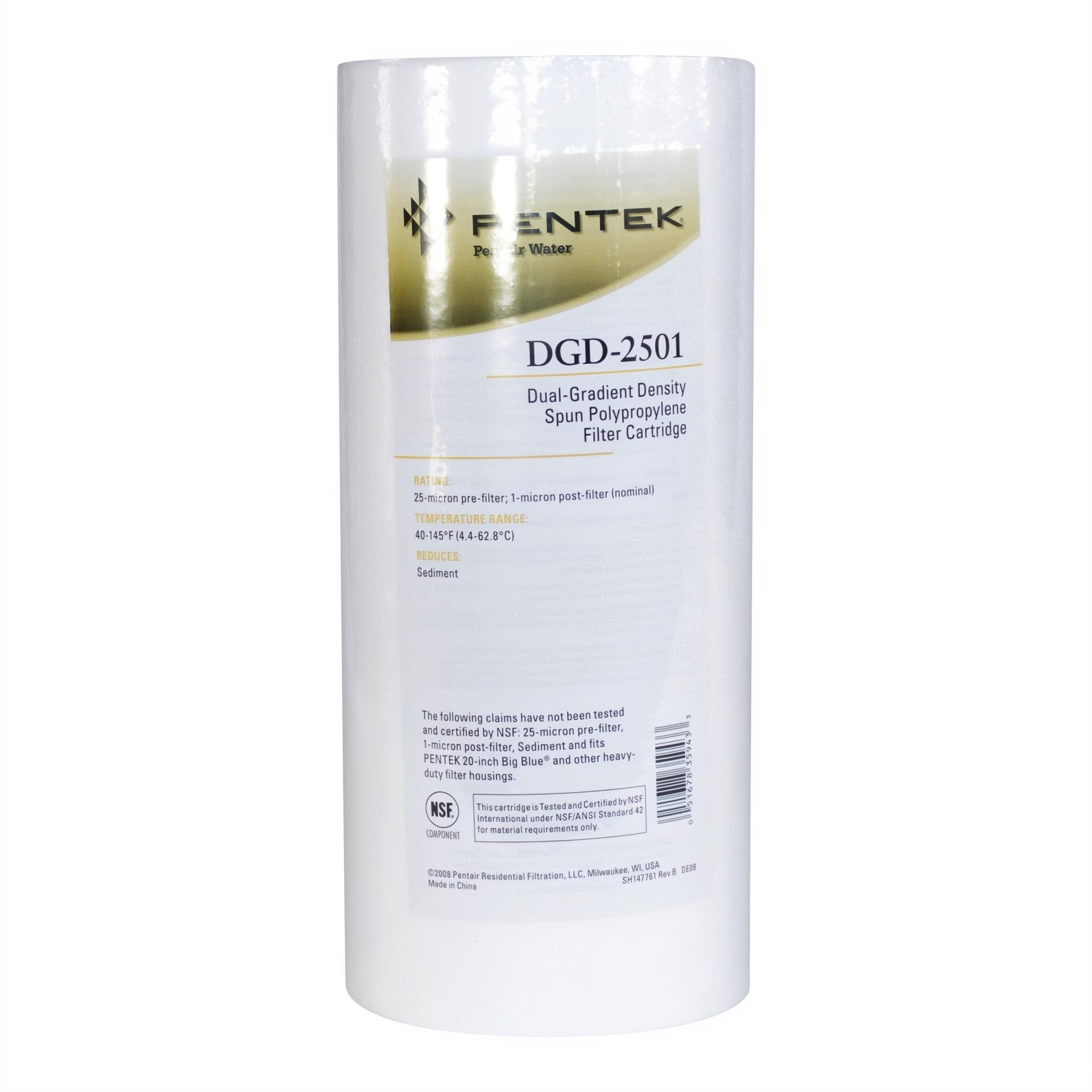 Pentair 10" Big Blue DGD-2501 #155359-43 