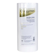 Pentair 10" Big Blue DGD-2501 #155359-43 