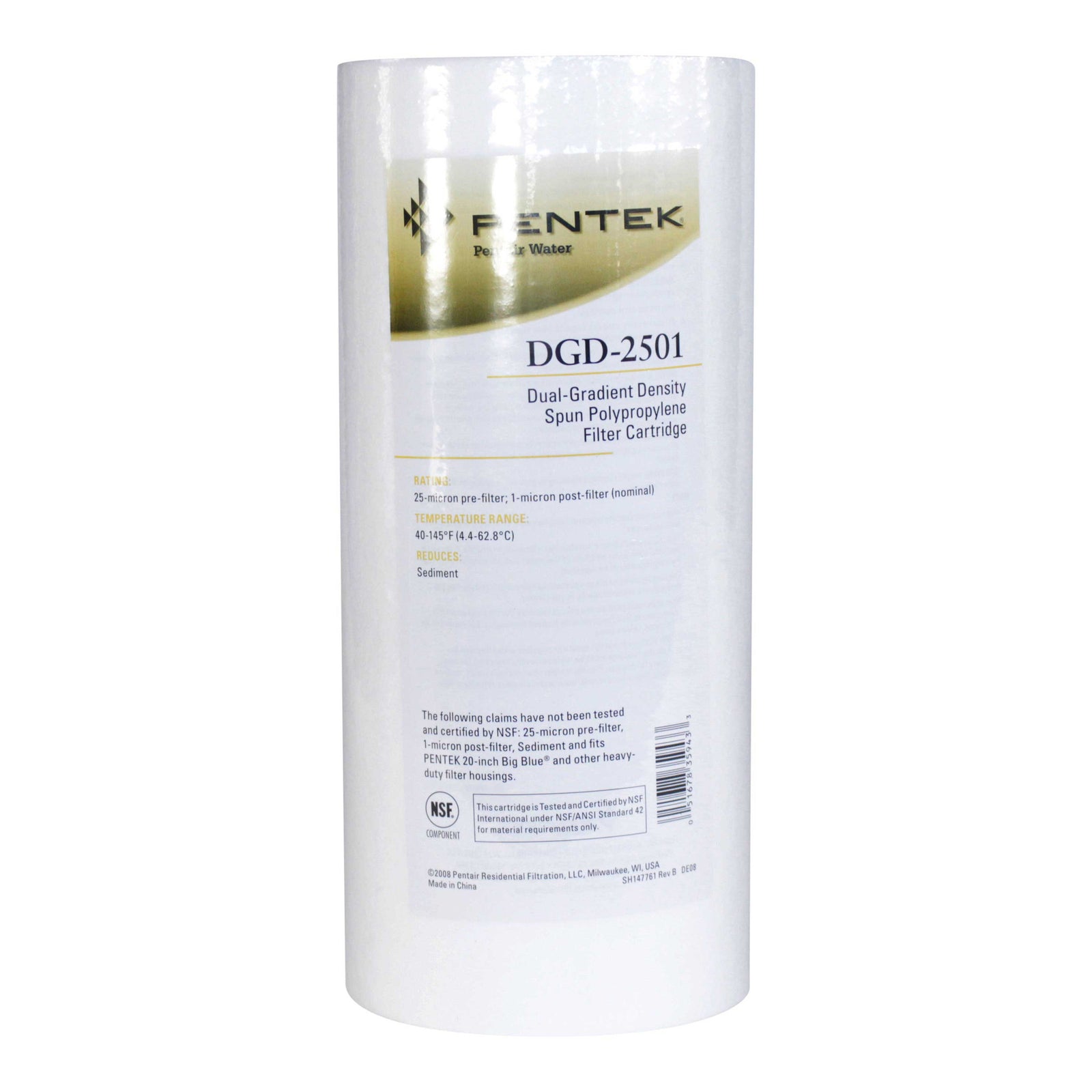 Pentair 10" Big Blue DGD-2501 #155359-43 