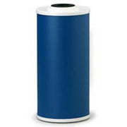 Pentair 10" Carbon GAC-BB #155153-43 